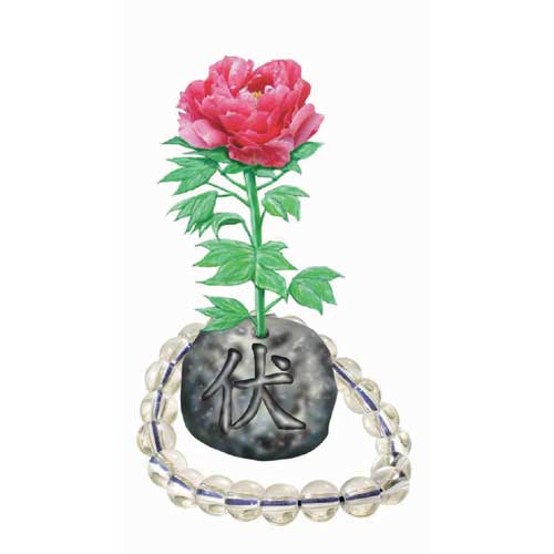 伏姫＆数珠の画像